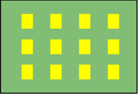 Distribution of Pherocon® AM traps in a soybean field